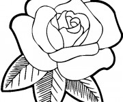 Coloriage et dessins gratuit Rose pour maman à imprimer
