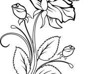 Coloriage et dessins gratuit Roses maternelle à imprimer