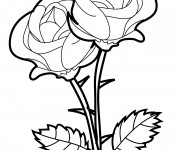 Coloriage et dessins gratuit Roses vecteur à imprimer