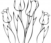 Coloriage Des Tulipes  en vecteur à colorier