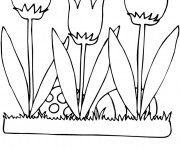 Coloriage Illustration Fleurs Tulipe