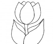 Coloriage et dessins gratuit Image Tulipe à imprimer