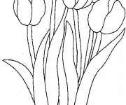 Coloriage et dessins gratuit Tulipe au Jardin à imprimer