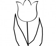 Coloriage et dessins gratuit Tulipe en couleur à imprimer