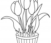 Coloriage et dessins gratuit Tulipes à décorer à imprimer