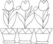 Coloriage Tulipes et Pots