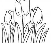 Coloriage Tulipes magnifiques en ligne