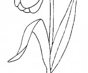 Coloriage et dessins gratuit Une Tulipe agréable à imprimer
