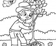 Coloriage Jardinier plante un arbre