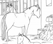 Coloriage et dessins gratuit Un Cheval et son petit dans le stable à imprimer