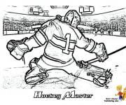 Coloriage et dessins gratuit Hockey réaliste à imprimer
