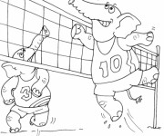Coloriage Éléphants qui jouent le Volleyball