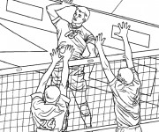 Coloriage Volleyball professionnel