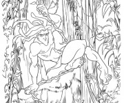 Coloriage Tarzan Affiche