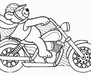 Coloriage Ours pilote sa Moto Harley