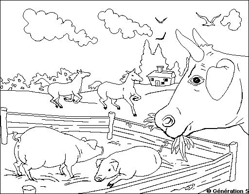 Dessin à Imprimer Animaux De La Ferme