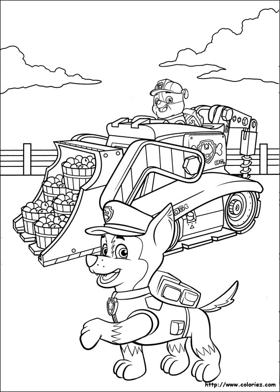 Coloriage Pat Patrouille Ruben et Chase dessin gratuit à imprimer