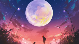 Bonsoir la lune
