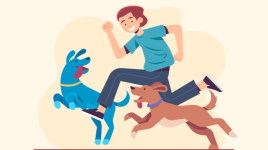 Des animaux qui aiment les humains de manière très impressionnante