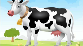 Apprendre à dessiner une vache étape par étape