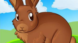 Une interview amusante avec le lapin mignon