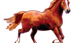 Demandez à mon cheval