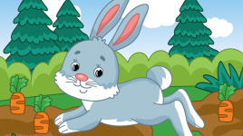 Un lapin sur le chemin