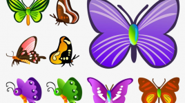 Que devraient savoir nos enfants de plus sur les papillons