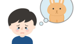 Voici comment gérer si votre enfant perd son animal de compagnie