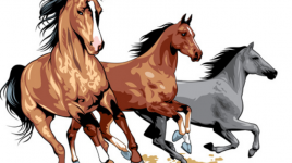 Pourquoi les chevaux et poneys sont très utiles dans notre histoire