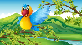Tout savoir sur les perroquets, les animaux les plus bavards !