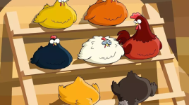 Mademoiselle, j’ai des poules