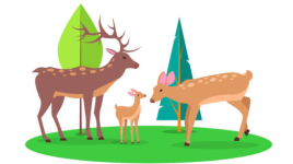 La belle biche