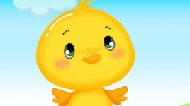 Le petit poussin