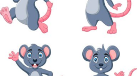 La semaine des Souris