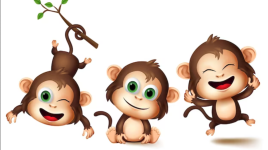 Les singes : ces animaux étonnants et amusants