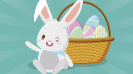 Beau lapin