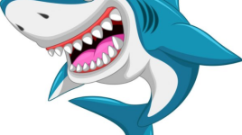 Comptine Le requin