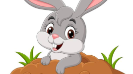 Les animaux en été