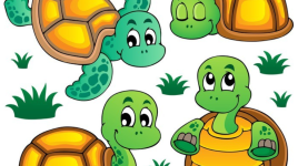Une interview amusante avec la tortue
