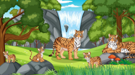 Le Tigre : l'animal le plus populaire de la jungle