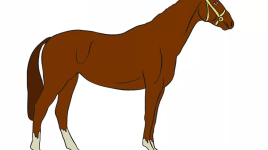 Apprendre à dessiner un cheval étape par étape