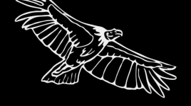 Comptine l'aigle noir