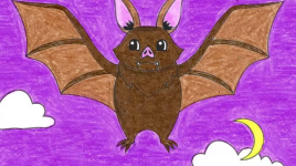 En savoir plus sur les chauves-souris