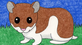Apprenez à dessiner un hamster étape par étape