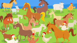 Les animaux dans mon pré