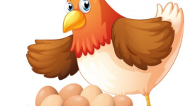 L'œuf de la poule
