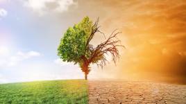 La Grande Farce du Réchauffement Climatique : Comment le Monde est devenu un Four en 2023 