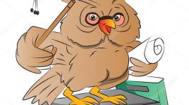Poème l’hibou