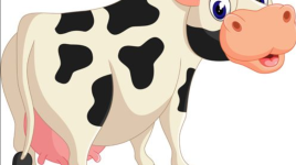 Belle vache